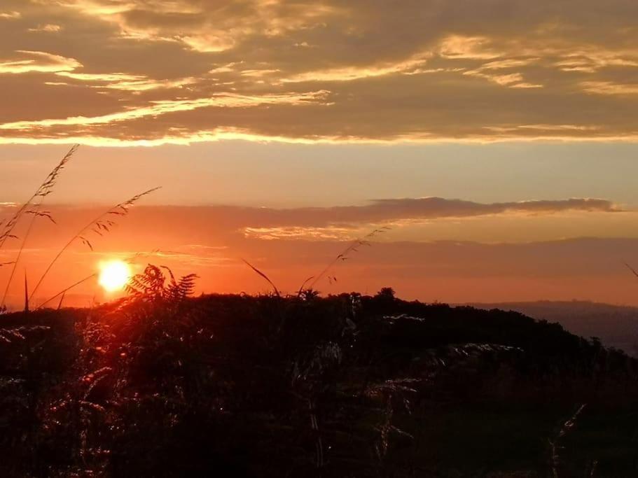 Converted Cattle Barn Overlooking Strangford Lough Newtownards Buitenkant foto